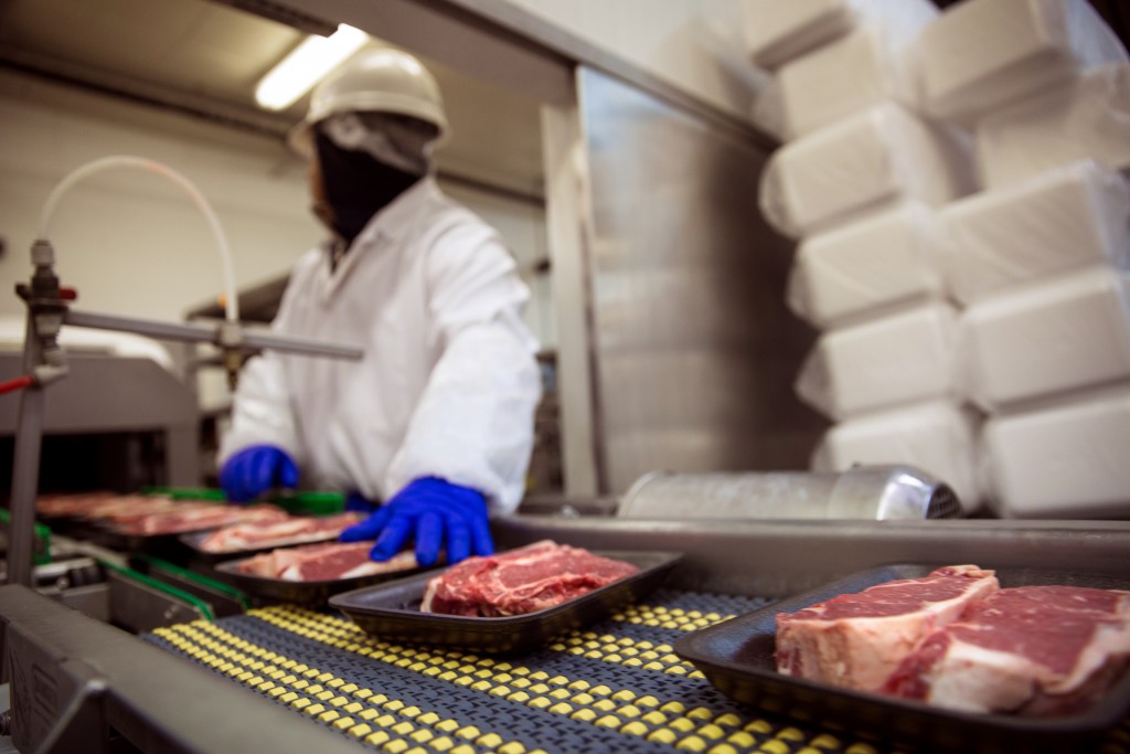 Meat Food Handling Safety Gloves And Suit With Mask