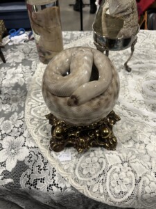 Snake wet specimen by Whimsical Dearest