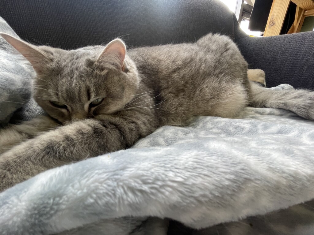 Ellie of Turnsol Books // photo by Cory Swieczkowski