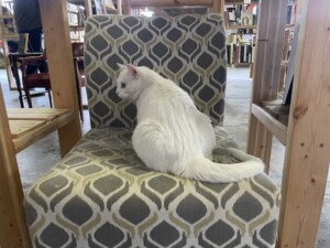 Anna of Turnsol Books // photo by Cory Swieczkowski