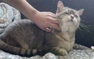 Ellie of Turnsol Books // photo by Cory Swieczkowski