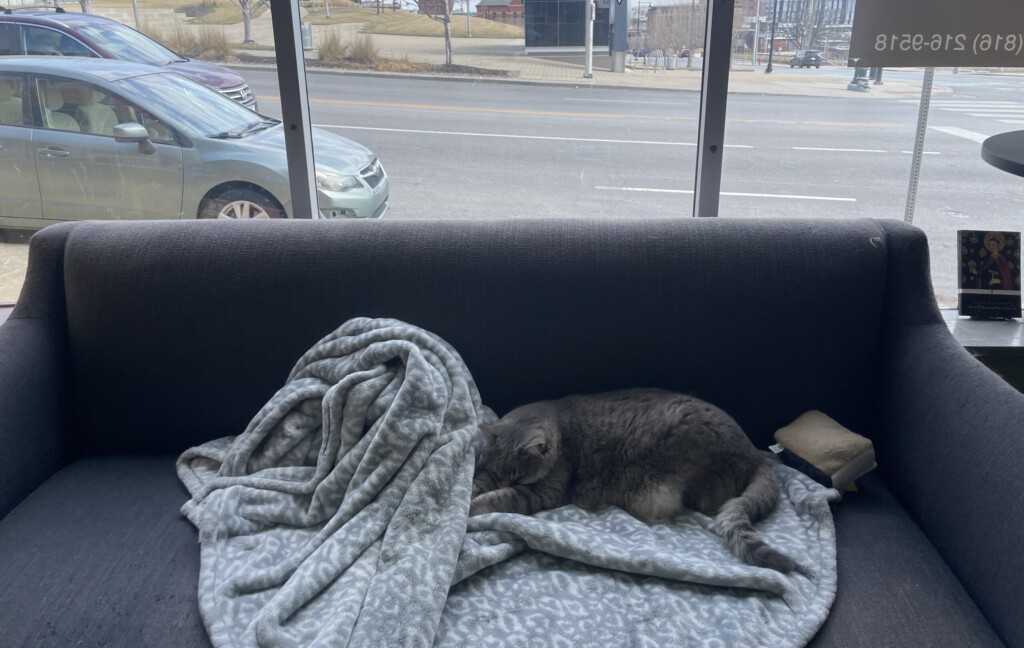 Ellie of Turnsol Books // photo by Cory Swieczkowski