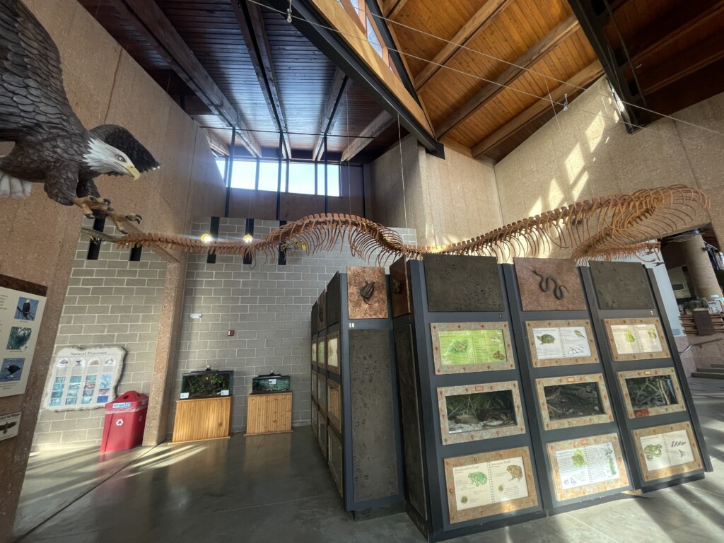 Lakeside Nature Center // photo by Cory Swieczkowski