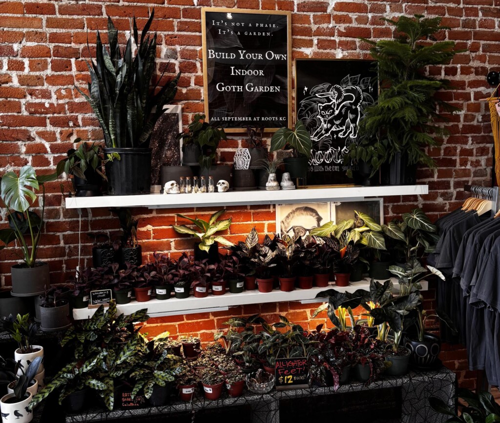 rOOTS Goth Garden display table