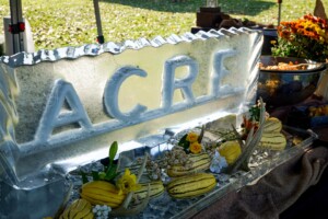 Display of Acre ice sculpture